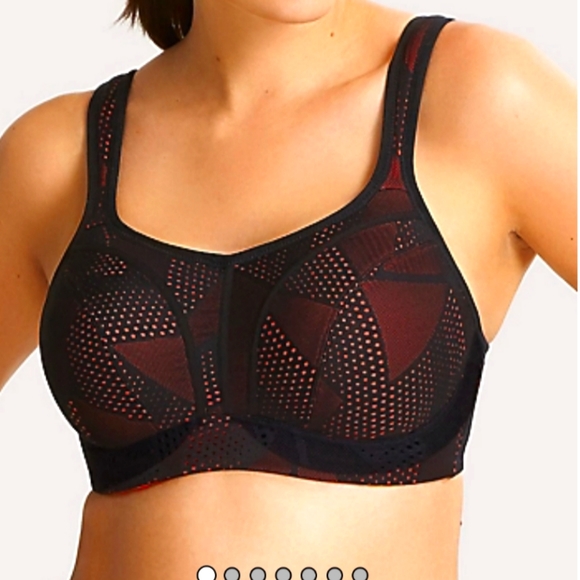 Panache Other - Panache Sport 34DD Bra